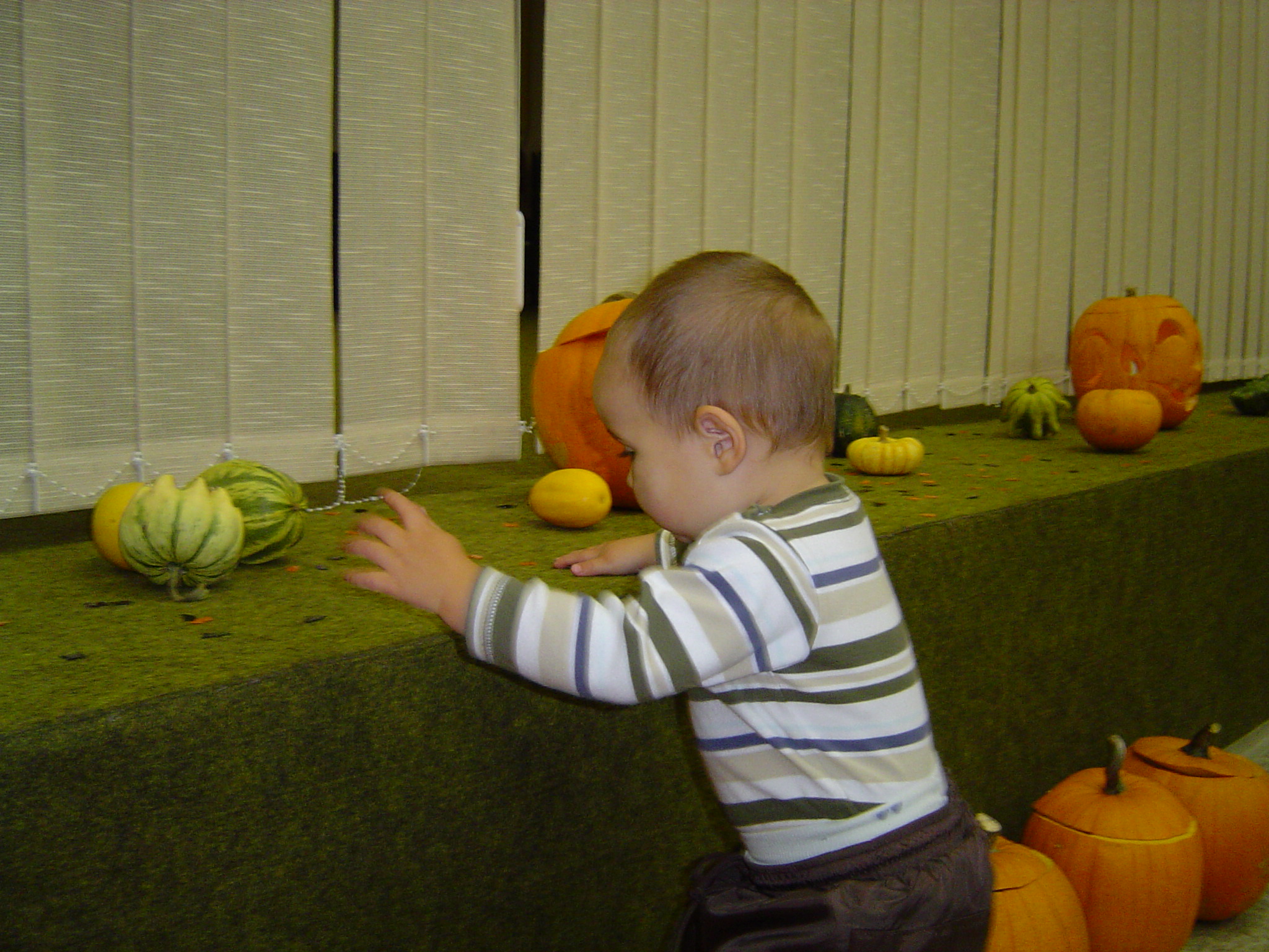 DSC00622.JPG